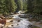 River White Elbe in the national park Krkonose near Å pindlerÅ¯v MlÃ½n. Czech Republic